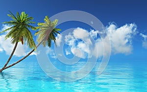 3D tropical landscape with palm trees