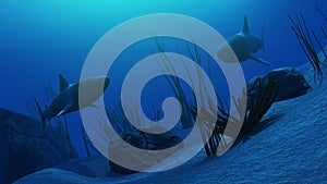 3D Underwater scene with sharks