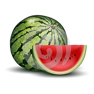 3d Vector illustration red fruit watermelon, cut half, sliced slice berry with red flesh