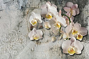 3d wallpaper, bouquet of orchids on lace and concrete wall textured. Murals effect.