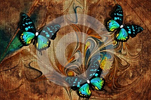 3d wallpaper, butterflies, nature painting, old canvas textures. Murals effect.