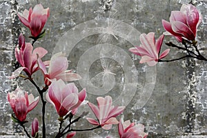 3d wallpaper, magnolia flower on concrete wall textured background.