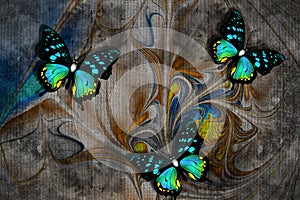 3d wallpaper texture, butterflies, nature painting, old canvas textures. Grey background. Murals effect.