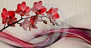 3d wallpaper texture, red orchids on fabric canvas texture.