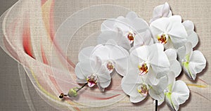 3d wallpaper texture, white orchids on fabric canvas texture.