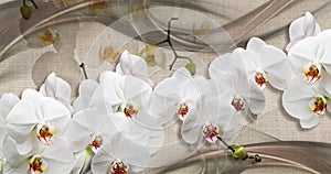 3d wallpaper texture, white orchids on fabric canvas texture.