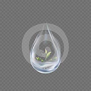 3D Water drop with growing plant under clean water on transparent background, Vector isolated Transparency Single Blue shiny Rain