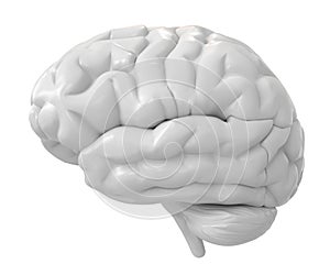 3d white brain