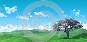 3D Widescreen tree landscape