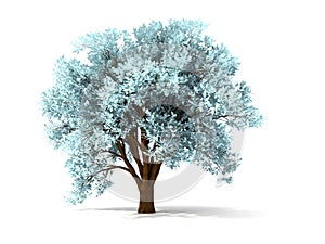3d wintry tree