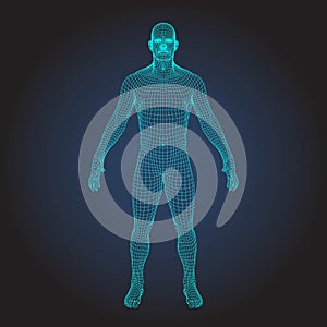 3D wireframe human body