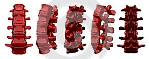 3drendering illustration of vertebrae