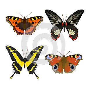 4 butterfly set for design