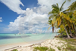 4 Catamaran Boats with Groups of Tourists in a the Caribbean Sea near Saona Island, Punta Cana.