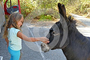 4 and a half year old girl caresses a donkey