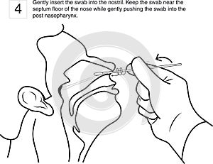 4-insert the swab into the nostril line