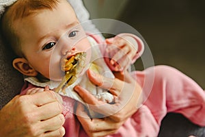 4 month old baby nibbling a chicken leg, tasting his first foods using the method of Baby led weaning BLW