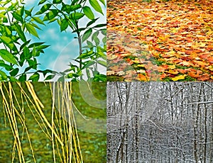 4 seasons