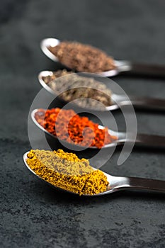 4 Spices on spoons