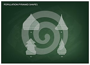 The 4 Types of Population Pyramids Graphs