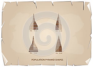 The 4 Types of Population Pyramids Graphs