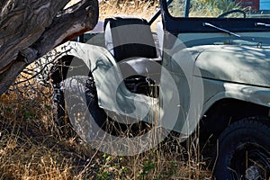 4-wheel drive vehilce parked under a desert tree surrounded by brush