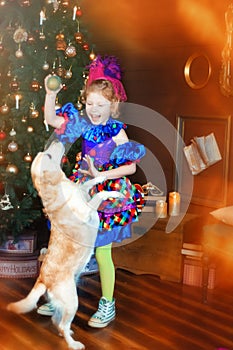 4 years old girl in blue carnival costume of clown play with dog near christmas tree. Happy christmas and new year. Friendship