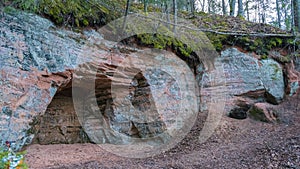 The 40 M Long Ziedleju Cliffs Consists of the Reddish Sandstones From Gauja Suite.