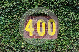 400 feet marker in vines