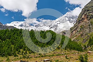 4000+ meters high  peaks behind the melting Fee Glacier Feegletscher and a forest in Saas-Fee