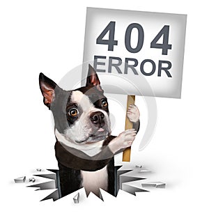 404 Error