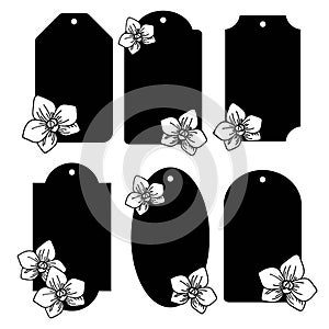 4082 tags, Vector illustration, set of floral tags, labels with flowers, drawing in black, isolate on white