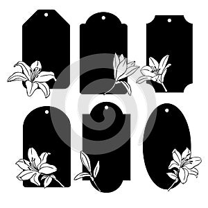 4084 tags, Vector illustration, set of floral tags, labels with flowers, drawing in black, isolate on white