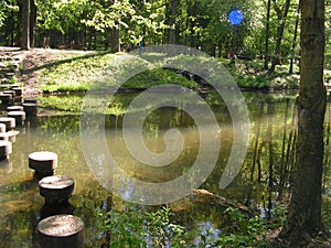 41.Forest Park `DROZDY` in Minsk Belarus