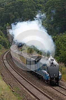 4492 Dominion of New Zealand