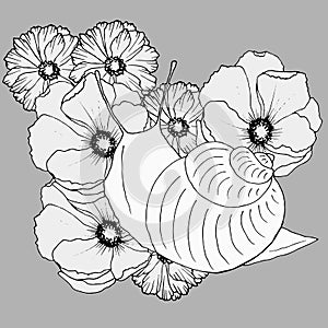 491 snail, vector illustration, isolate on gray background