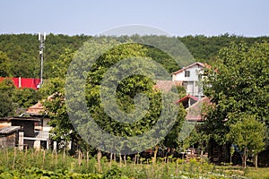 4G and 5G antennas in a village, between houses and heavy vegetation in rural Romania