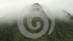 4K Aerial drone footage of mountain peak with rain forest and mist