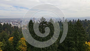 4K Aerial Drone Rise over Pine Trees to reveal Downtown Portland, Oregon