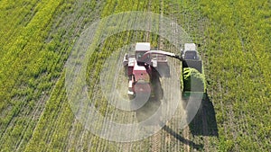 4K Aerial Elevated View Of Combine Harvester And Tractor Working Together In Field. Harvesting Of Oilseed In Spring