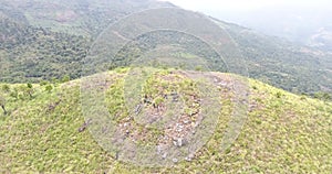 4K aerial of flying over a beautiful green forest in a rural landscape, India