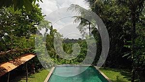 4K aerial flying video of infinity swimming pool at luxury villa in the jungle. Bali island.