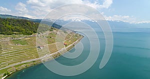 4K Aerial footage of Vineyard fields in Terrasses de Lavaux near Lausanne in Switzerland