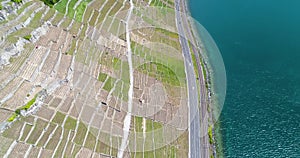 4K Aerial footage of Vineyard fields in Terrasses de Lavaux near Lausanne in Switzerland