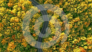 4k aerial over autumn forest in fall colors