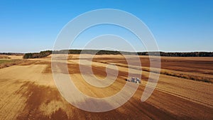 4K. Aerial view of agriculture process: tractor plows and makes seeding, sowing agricultural crops at field