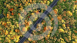 4k aerial view of cars driving down a road through autumn forest