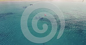 4K aerial view of people scuba diving in Honolulu Hawaii color graded