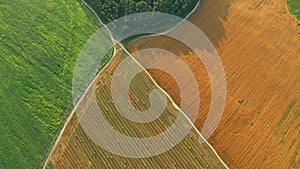 4K Aerial View Of Summer Hay Rolls Straw Field Landscape In Evening. Haystack, Hay Roll in Sunrise Time. Natural