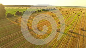 4K Aerial View Of Summer Hay Rolls Straw Field Landscape In Evening. Haystack, Hay Roll in Sunrise Time. Natural